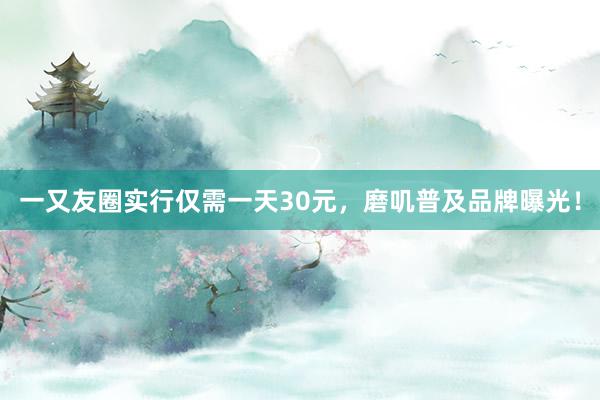 一又友圈实行仅需一天30元，磨叽普及品牌曝光！