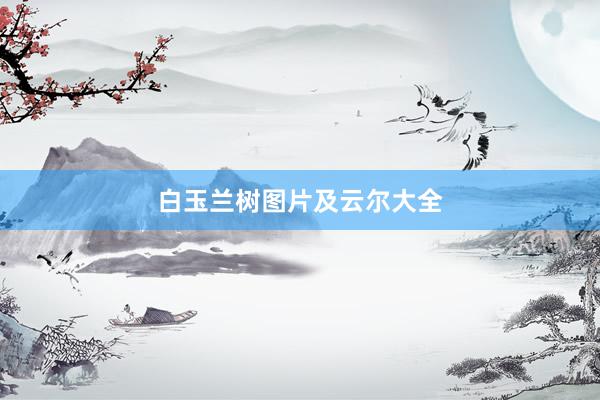 白玉兰树图片及云尔大全