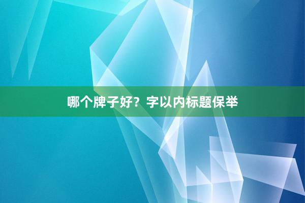 哪个牌子好？字以内标题保举